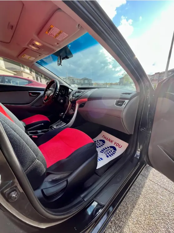 Interior Shampoo & Detail